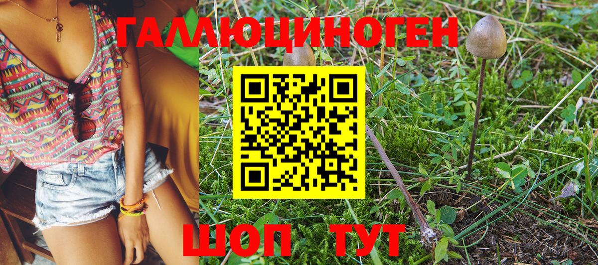 Галлюциногенные грибы MAGIC MUSHROOMS  где можно купить   Киселёвск  Вход с VPN 